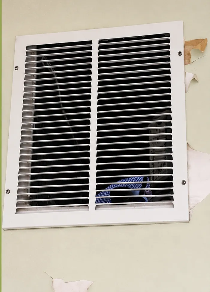 Kitchen Hood & Vent Detailing — after